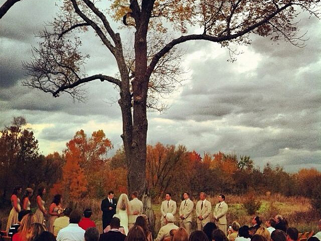 Coxx Events wedding photo gallery